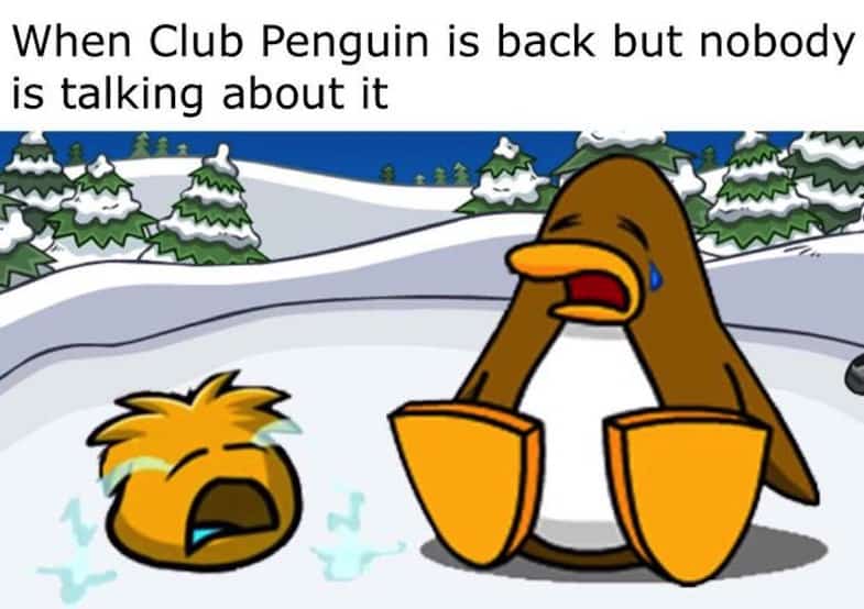 Club Penguine Memes 11