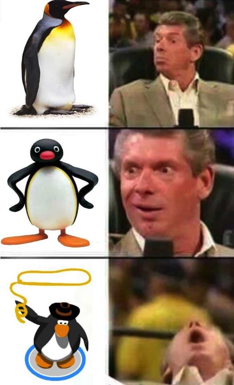 Club Penguine Memes 24