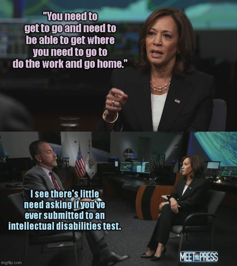 Kamala Harris Memes 6