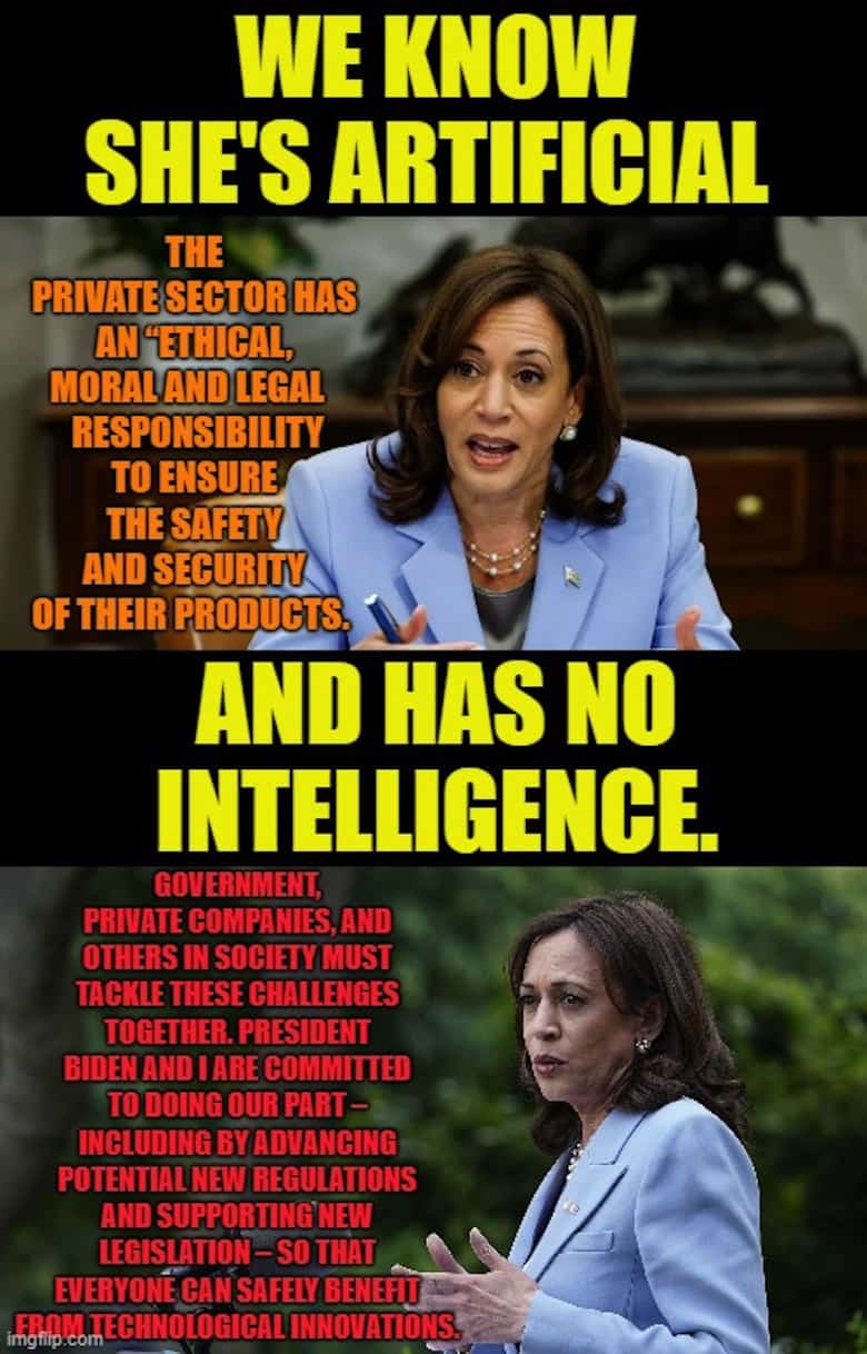 Kamala Harris Memes 8