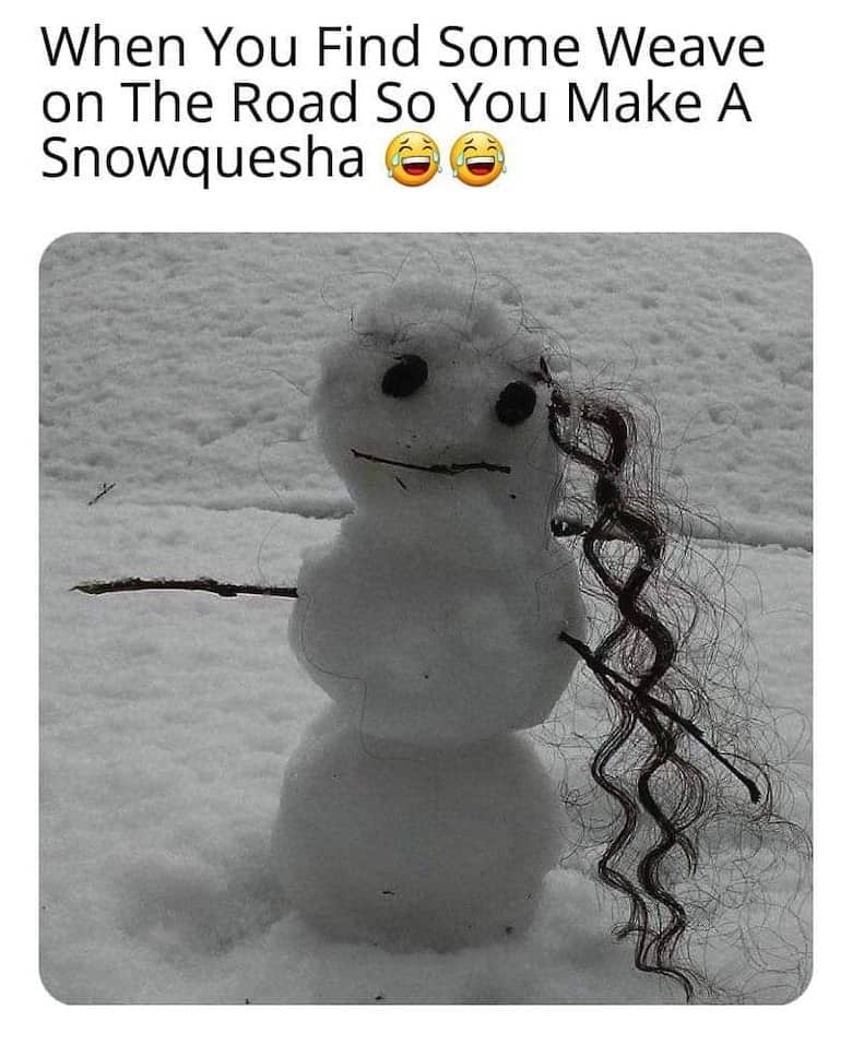 Snow Day Meme 16