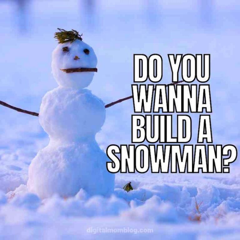 20 New Snow Day Memes: When Cold Weather Meets Hot Humor