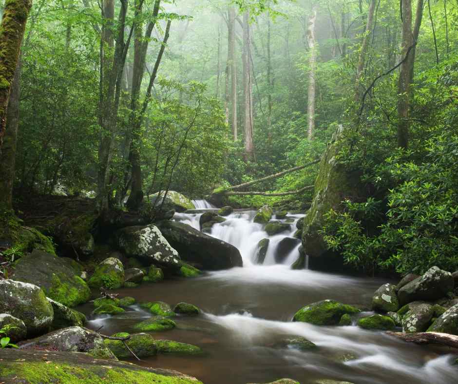 The Great Smoky Mountains, Tennessee/North Carolina