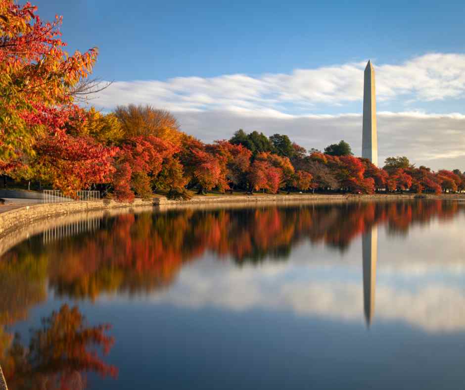 Washington, D.C